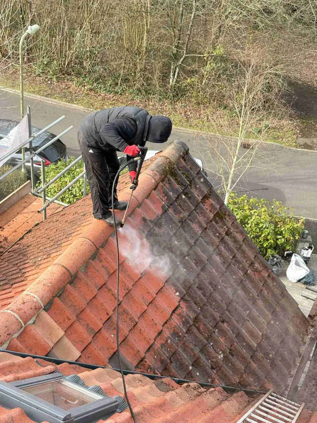 Cleaning a tiled roof