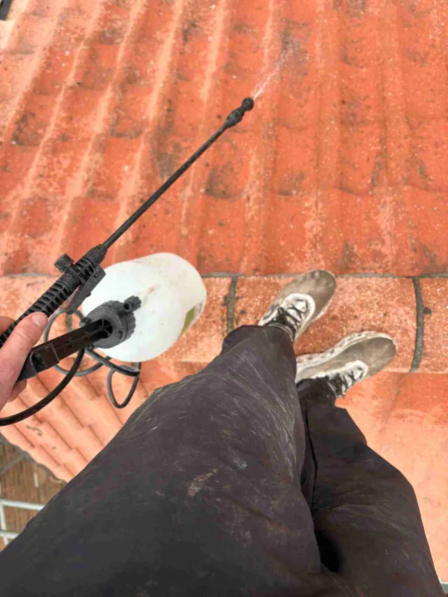 Cleaning a tiled roof