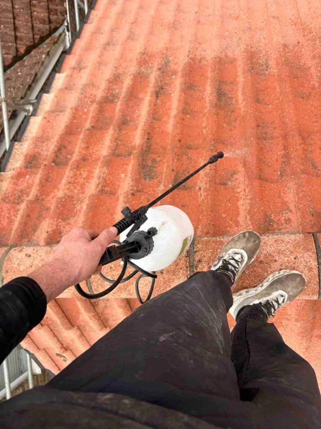 Cleaning a tiled roof