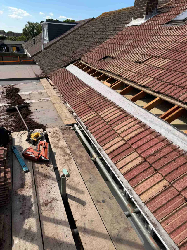 Exposed timber roof structure