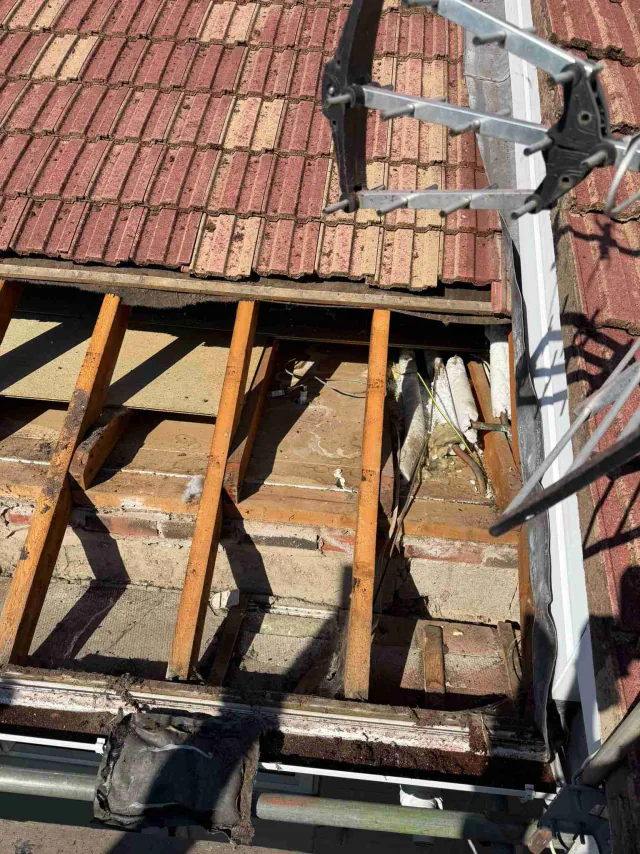 Exposed timber roof structure