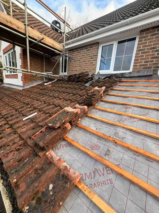 Exposed timber roof structure