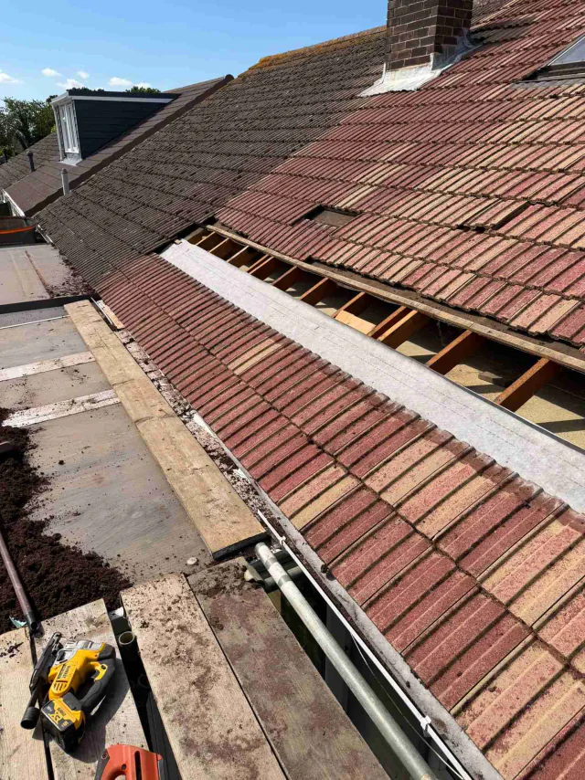 Exposed timber roof structure