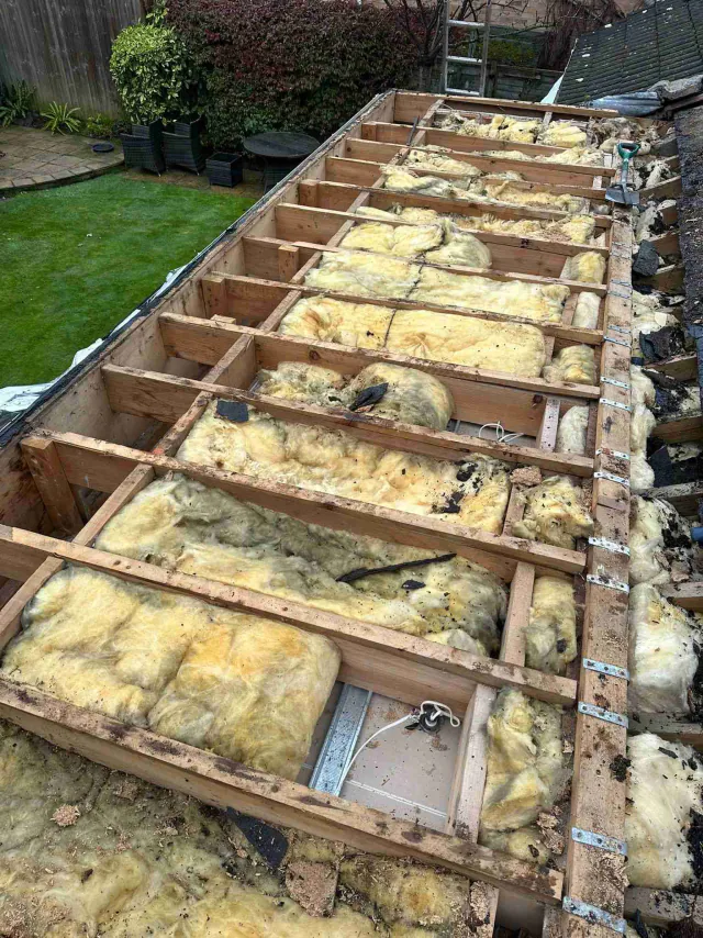 Exposed timber roof structure