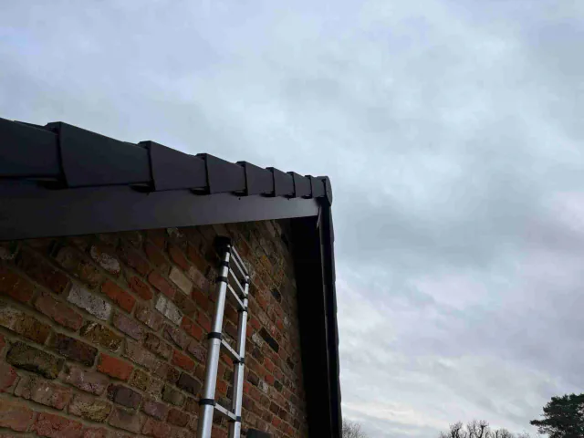 Fascia board beneath a roof edge
