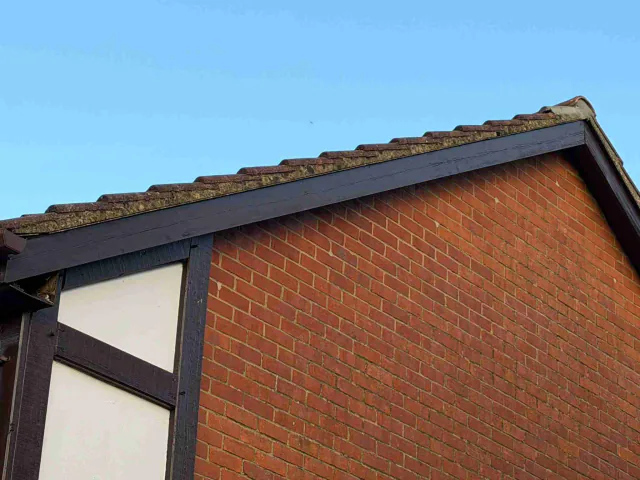 Fascia board beneath a roof edge
