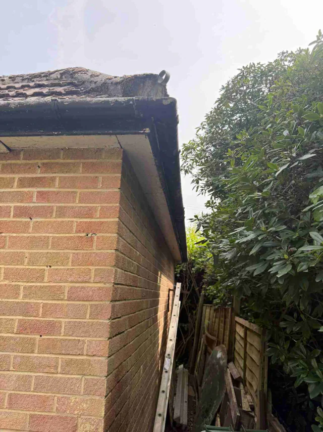 Fascia board beneath a roof edge