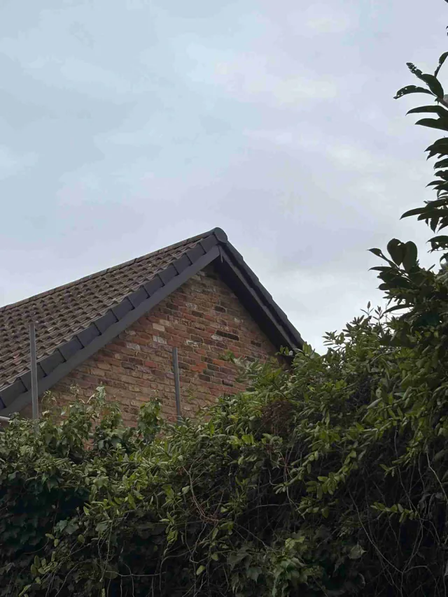 Fascia board beneath a roof edge