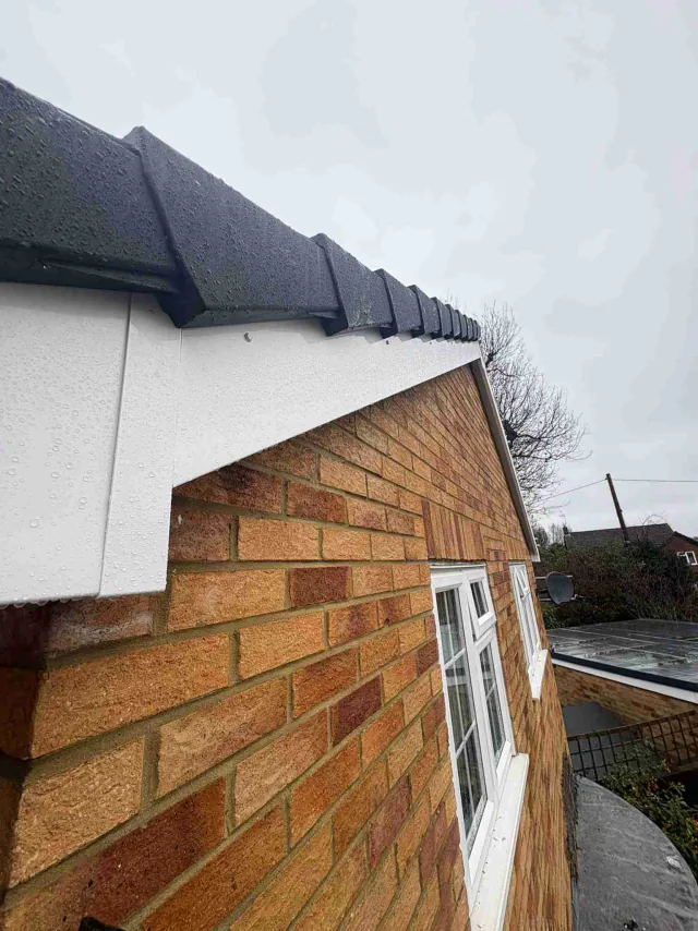 Fascia board beneath a roof edge