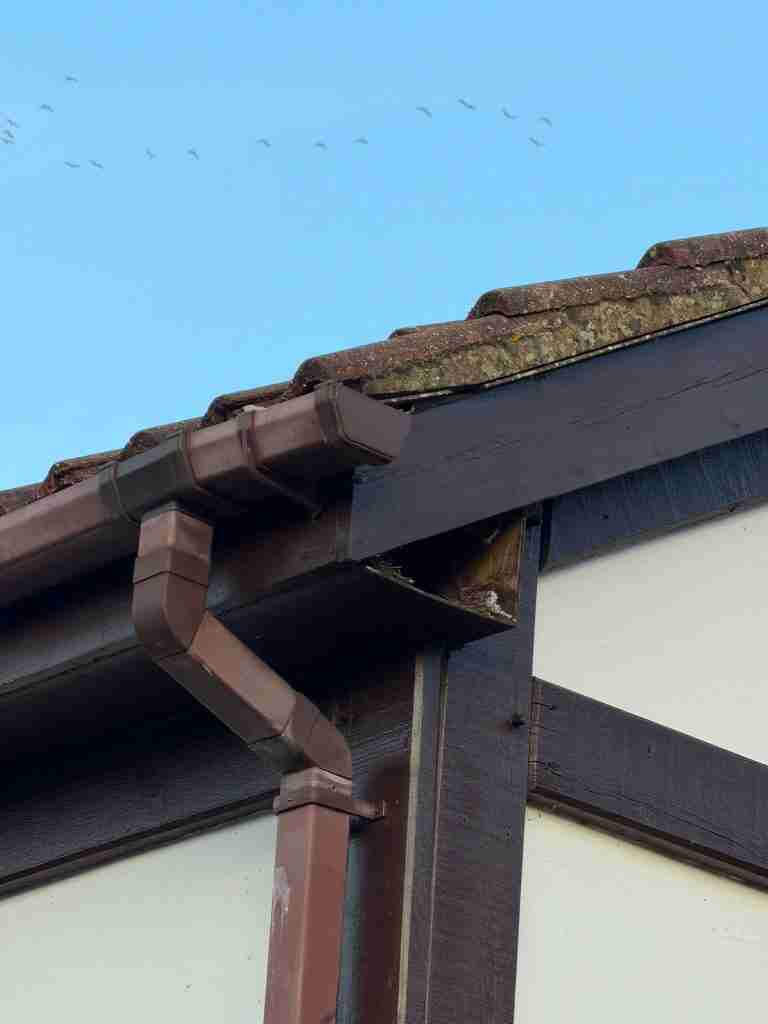 Professional Fascias, Soffits & Guttering