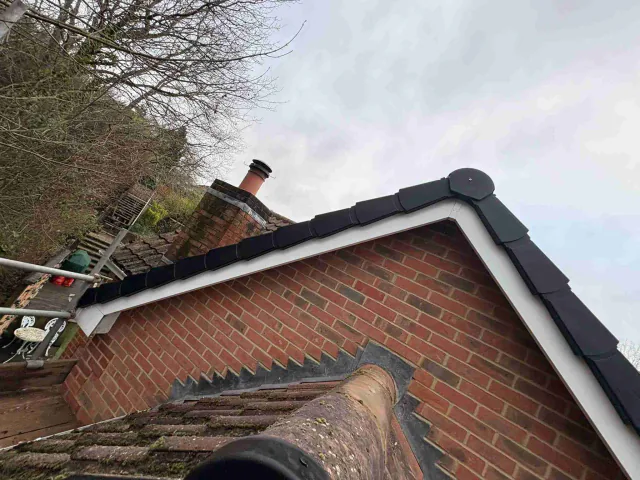 Fascia board beneath a roof edge