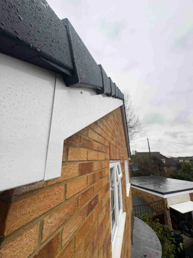 Fascia board beneath a roof edge