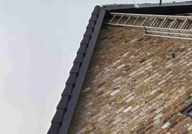 Fascia board beneath a roof edge