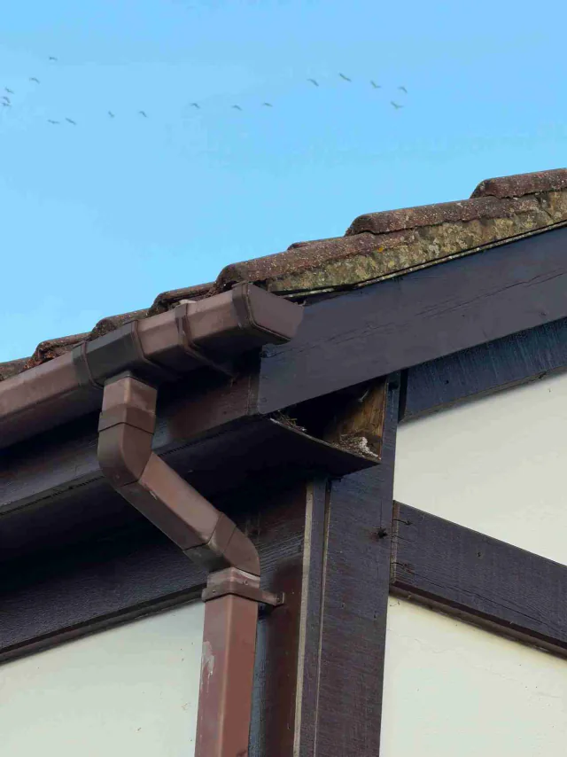 Professional Fascias, Soffits & Guttering