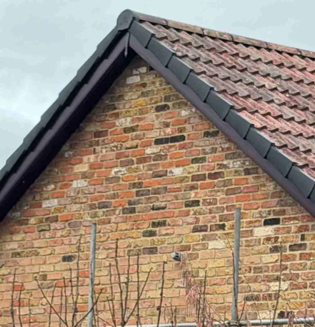 Fascia board beneath a roof edge