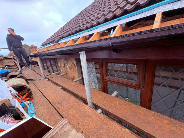 Fascia board beneath a roof edge