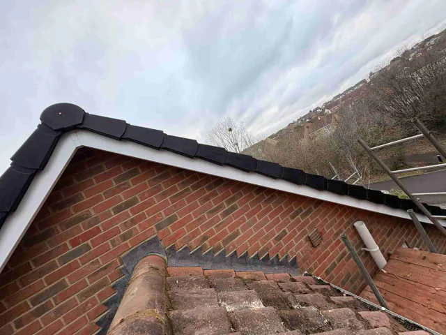Fascia board beneath a roof edge