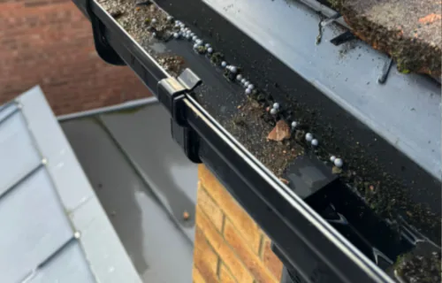 Gutter cleaning service removing moss and debris from residential guttering by WWR Roofing
