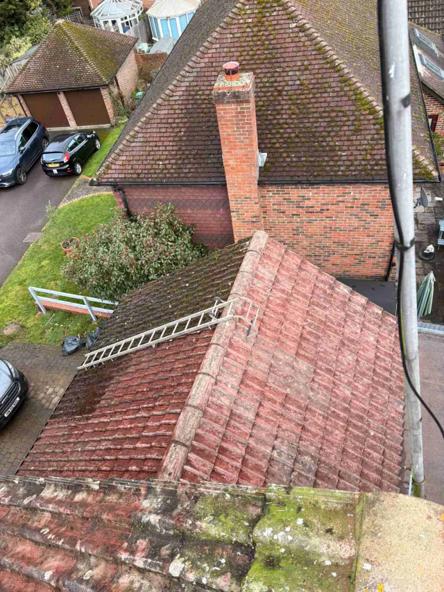 Moss on tiled roof slopes