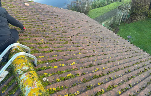 Roof moss removal completed by WWR Roofing