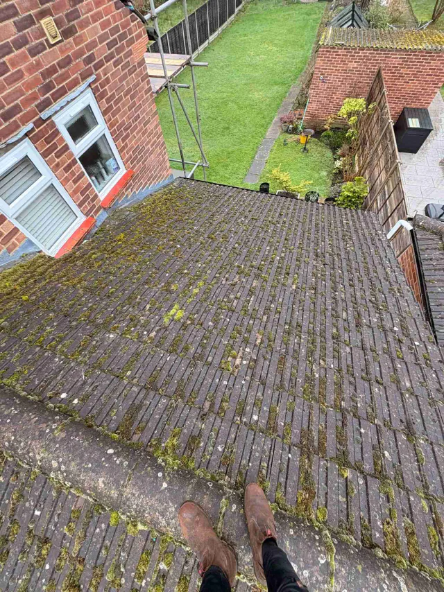 Moss on tiled roof slopes