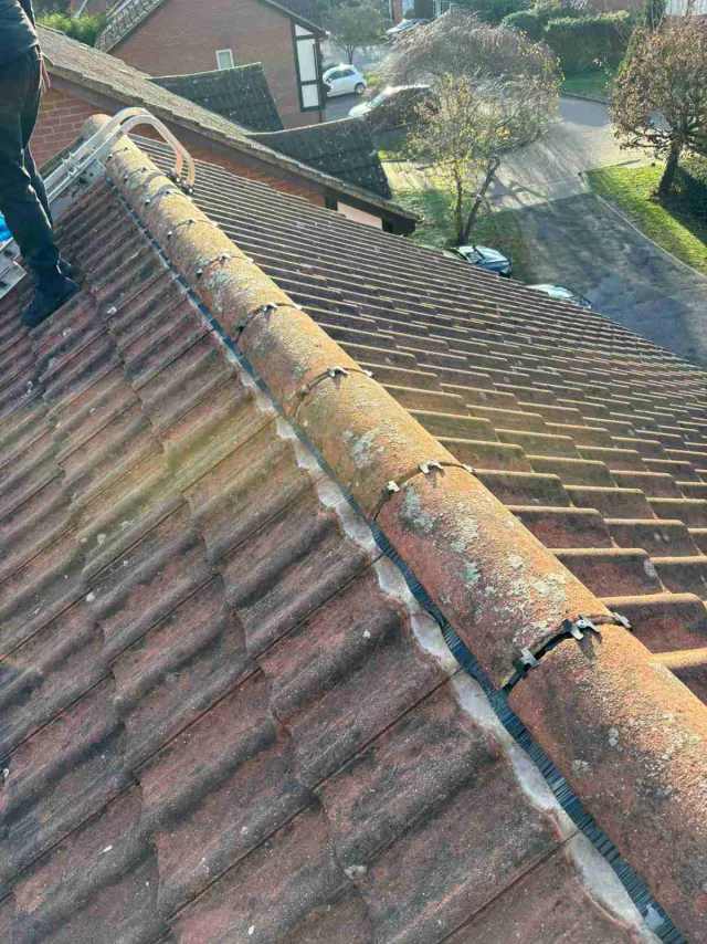 Moss on tiled roof slopes