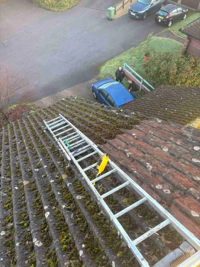 Moss on tiled roof slopes