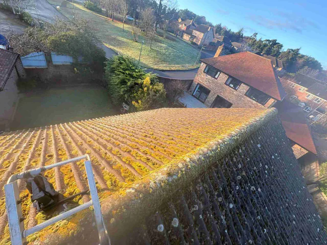 Moss on tiled roof slopes