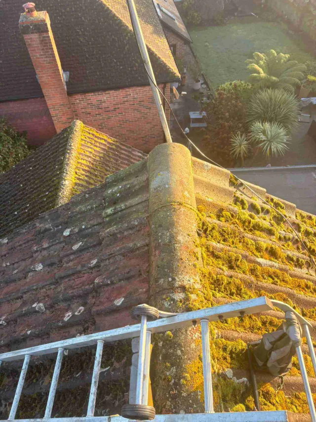 Moss on tiled roof slopes