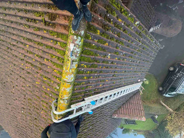 Moss on tiled roof slopes