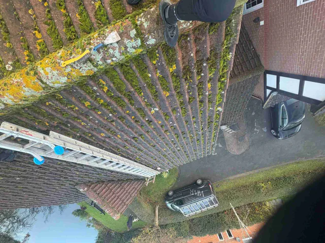 Moss on tiled roof slopes