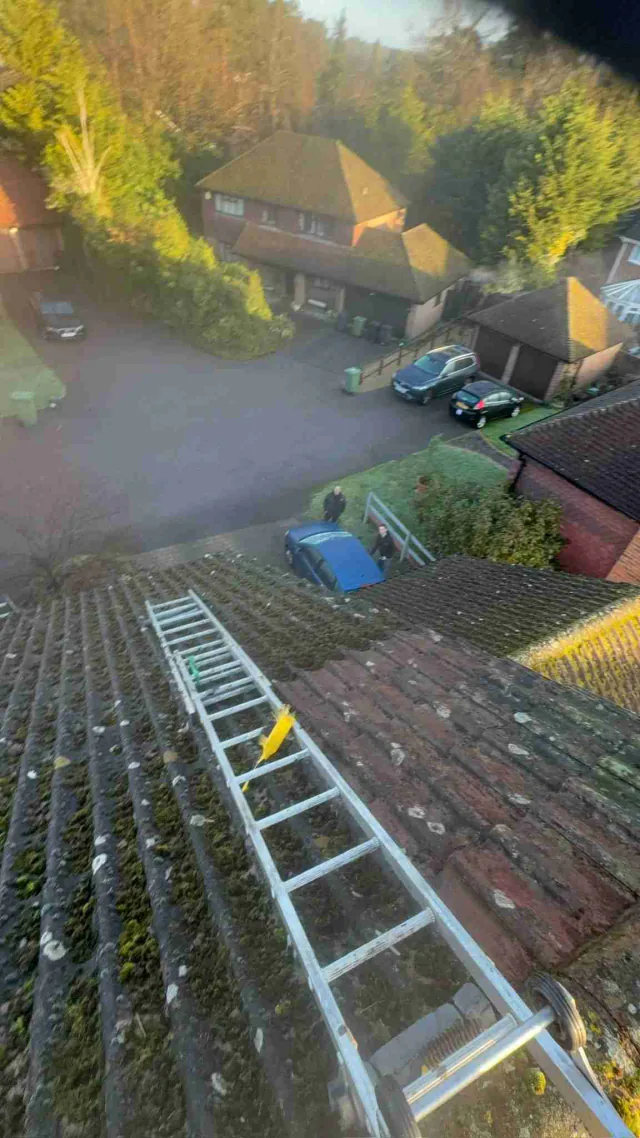Moss on tiled roof slopes