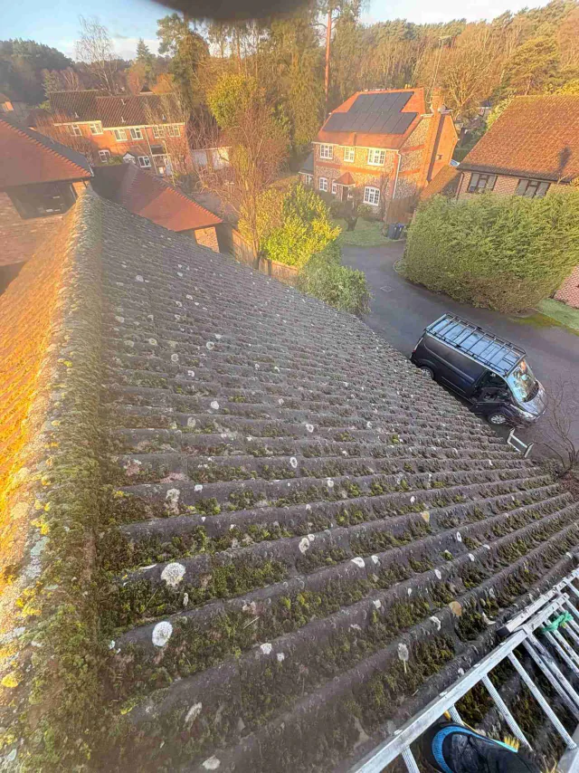 Moss on tiled roof slopes