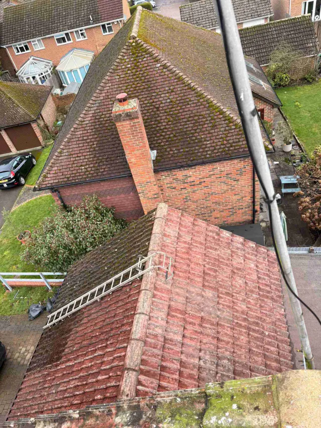 Moss on tiled roof slopes