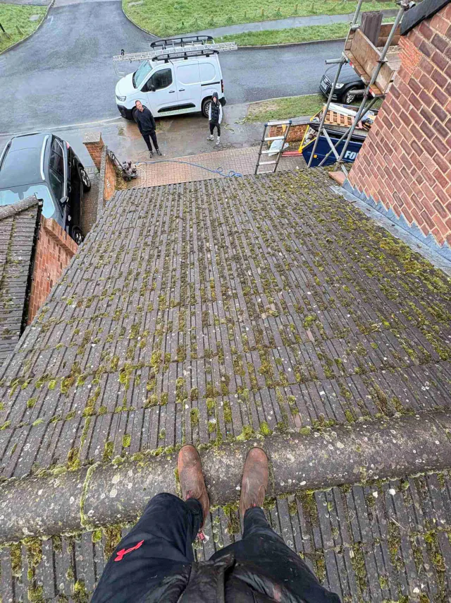 Moss on tiled roof slopes