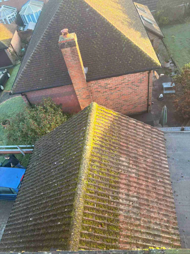 Moss on tiled roof slopes