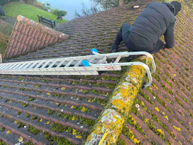 Moss on tiled roof slopes
