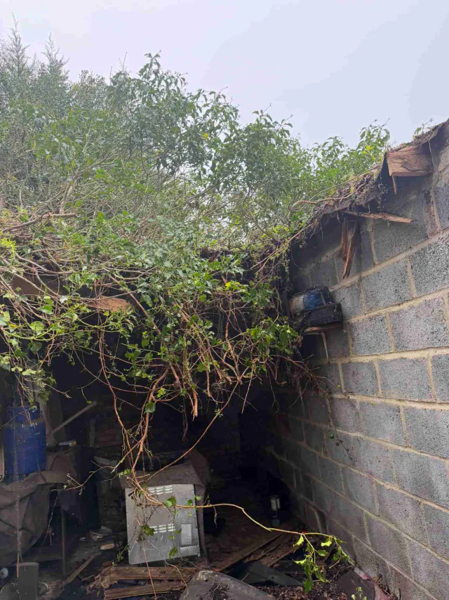 Roof work beside a garden wall