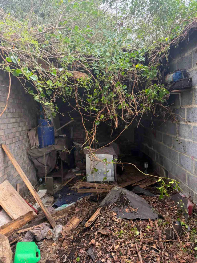 Roof work beside a garden wall