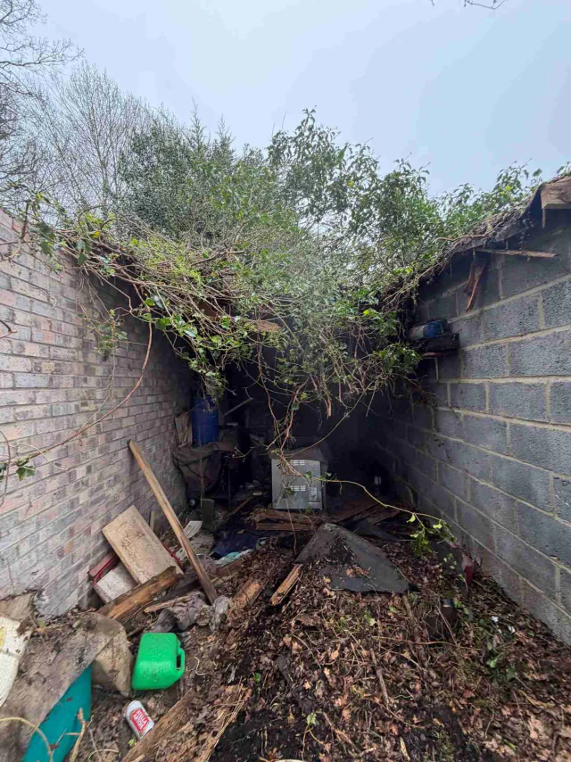 Roof work beside a garden wall