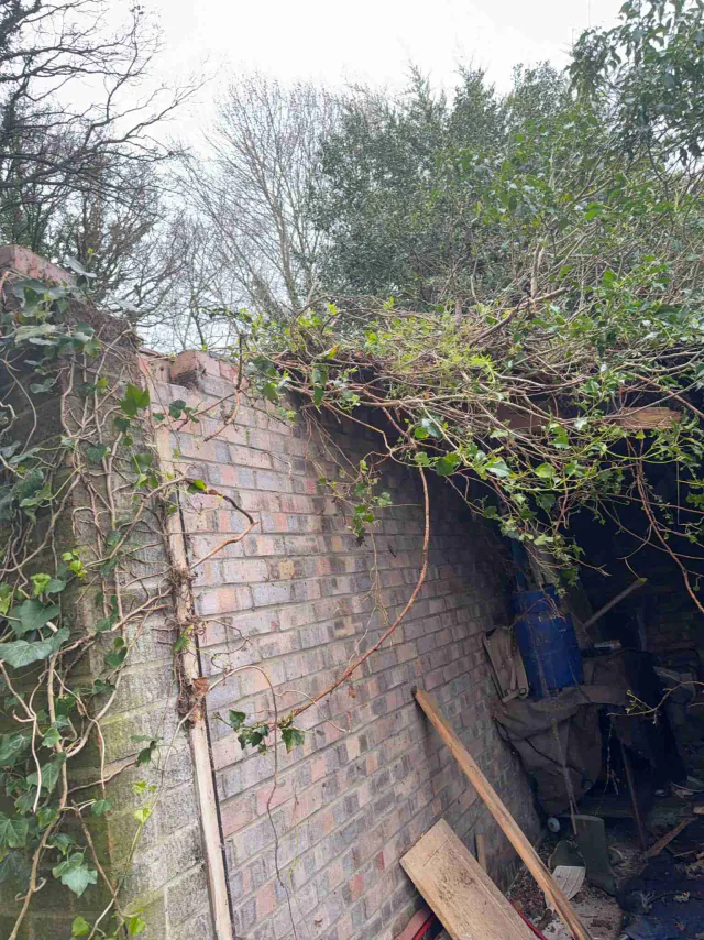 Roof work beside a garden wall