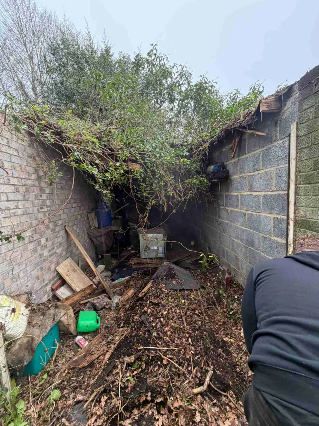 Roof work beside a garden wall