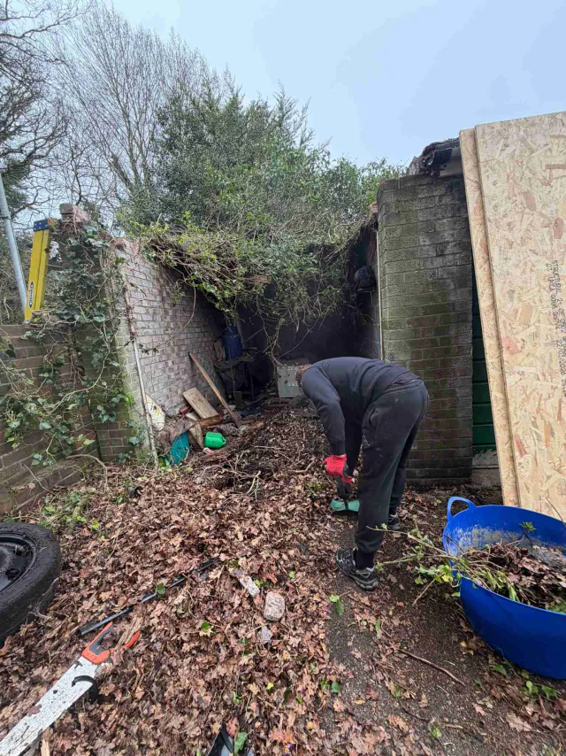 Roof work beside a garden wall