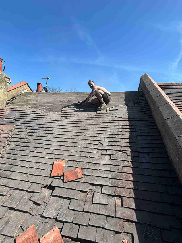 Slate roof covering