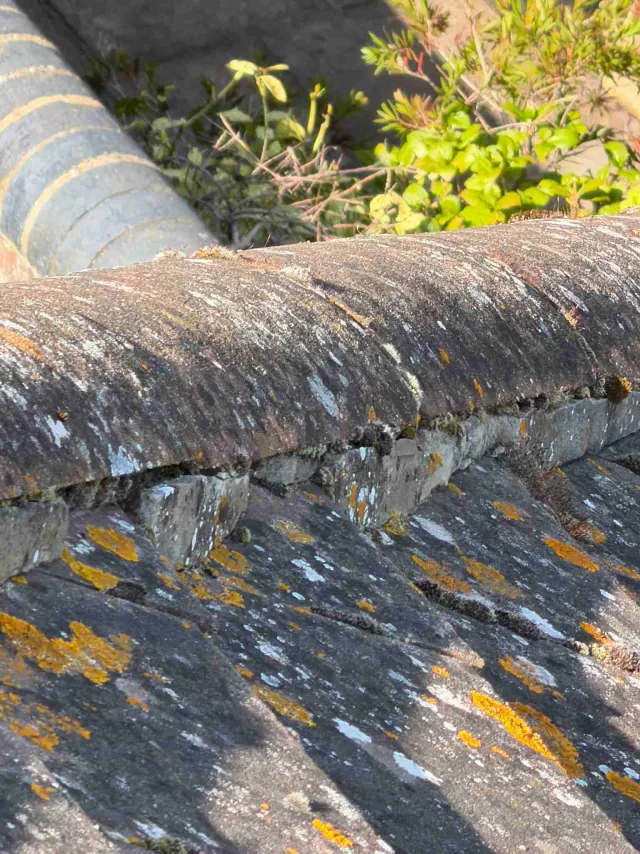 Tiled roof at the gutter edge