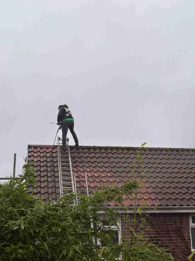 Tiled roof on a house