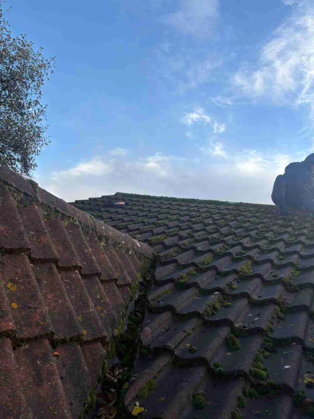 Tiled roof with ridge tiles