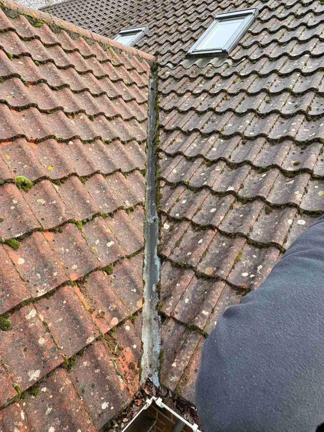 Tiled roof with ridge tiles