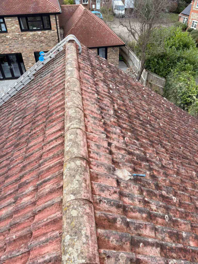 Tiled roof with ridge tiles