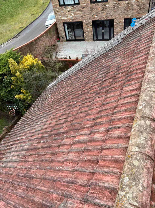 Tiled roof with ridge tiles